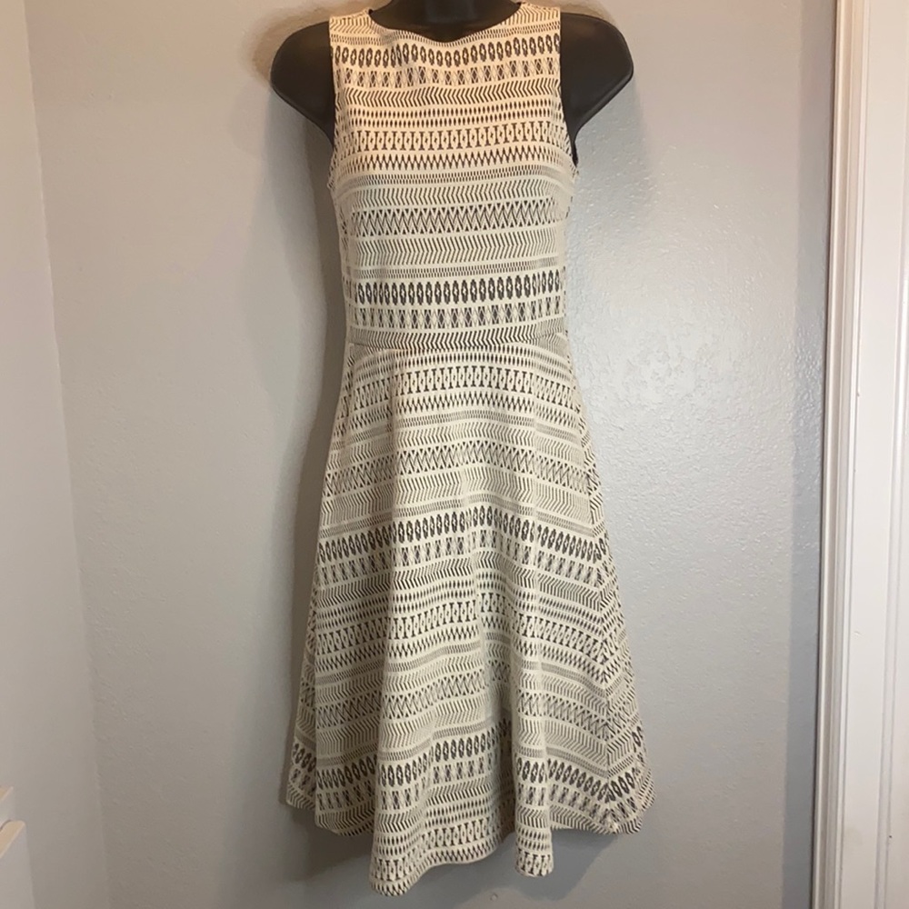 Banana Republic fit and flare sleeveless dress